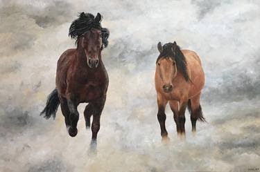 Original Fine Art Horse Paintings by David Haley