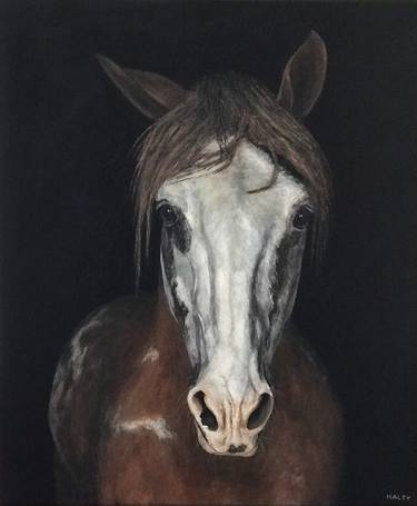 Original Horse Paintings by David Haley