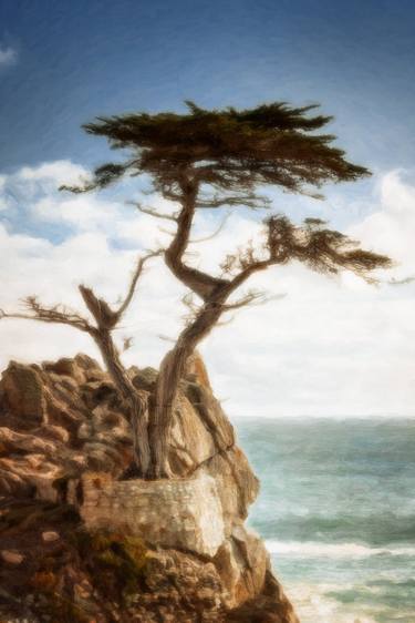 Original Fine Art Tree Photography by Hendrik Kotze