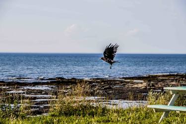 Original Realism Landscape Photography by Véronique Leblanc