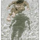 Swimmer #2 - Limited Edition of 25 by Jeff Chase