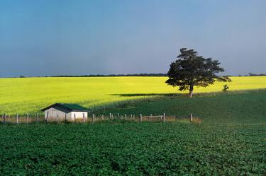 Print of Fine Art Rural life Photography by Rob Ruttan