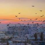Flock at First Light by Zhanna Kondratenko