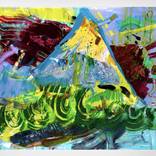 Collection Camelia Enachioiu