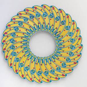 Collection Ready To Hang