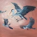 Messengers by Katerina K