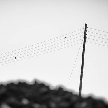 Print of Minimalism Nature Photography by Zsolt Szabo