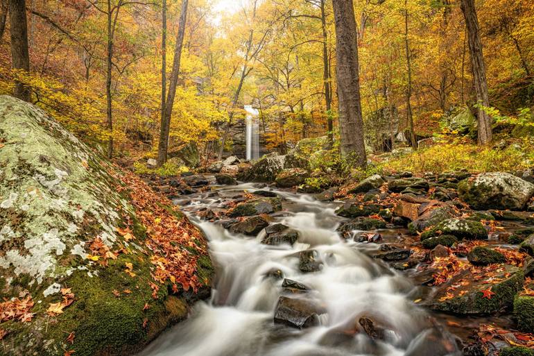 Autumn Oasis At Cedar Falls - Petit Jean State Park - Print