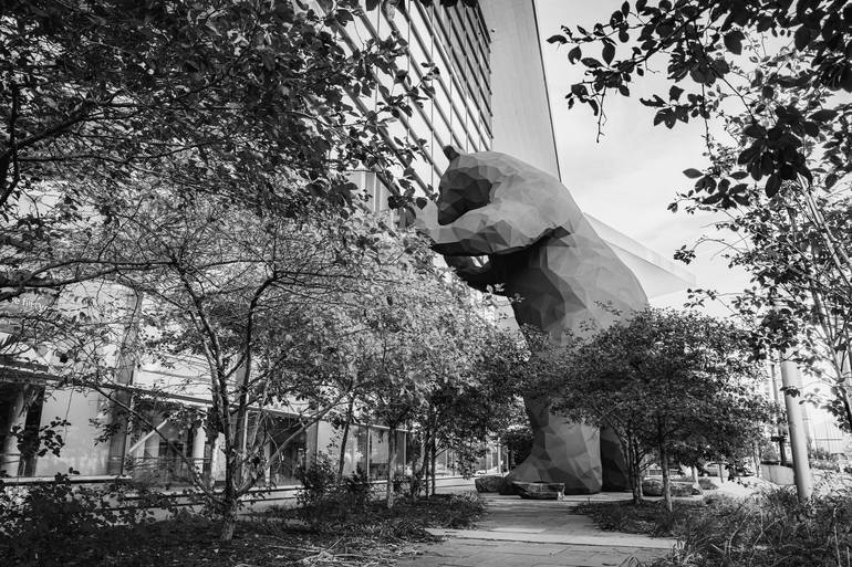 Denver's Giant Big Bear In Monochrome - Print