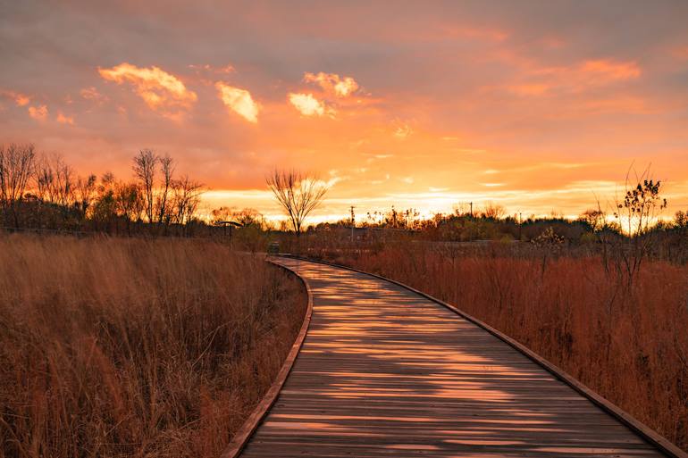 Pathway To Sunset Serenity - Print