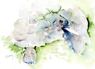 Original Impressionism Animal Paintings by Alex Tolstoy