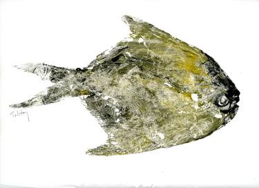 Print of Fish Paintings by Alex Tolstoy