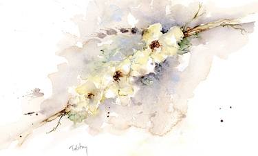 Original Floral Paintings by Alex Tolstoy