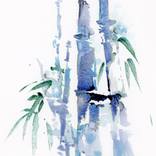 Collection Botanical Art Prints