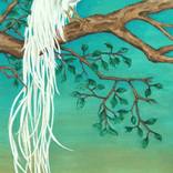 White Onagadori Chicken by Nicola Mountney