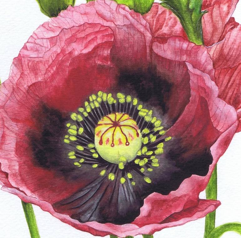 Original Fine Art Floral Painting by Nicola Mountney