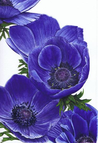 Original Floral Paintings by Nicola Mountney