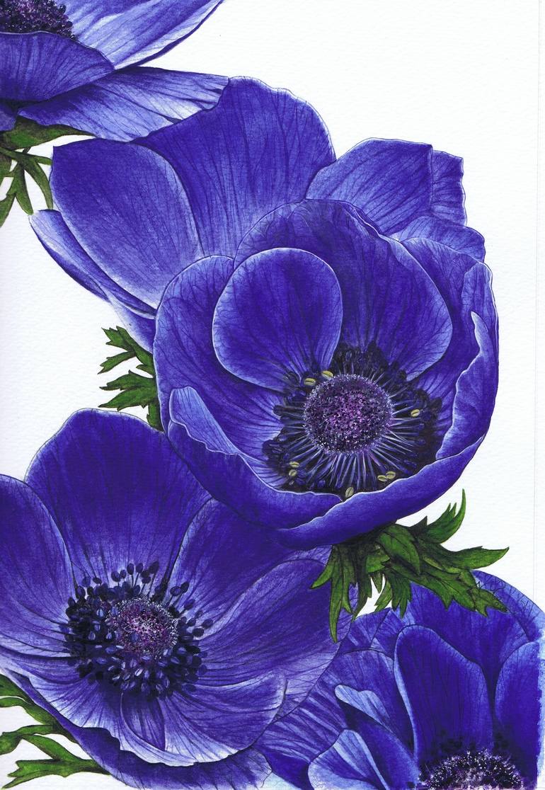 Nan Single Poppy I Keilrahmen-Bild Leinwand Blumen Blüte Mohn blau Makro