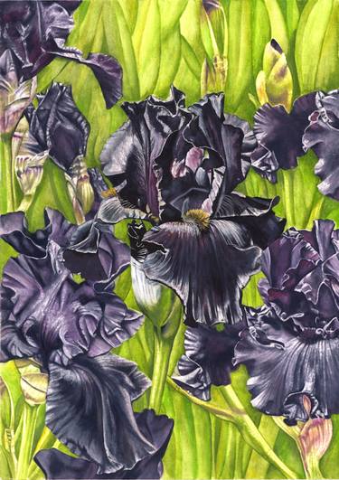 Original Fine Art Floral Paintings by Nicola Mountney