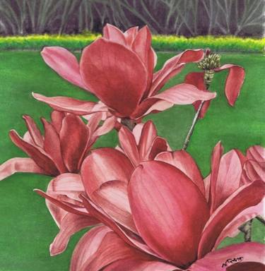 Original Fine Art Floral Paintings by Nicola Mountney