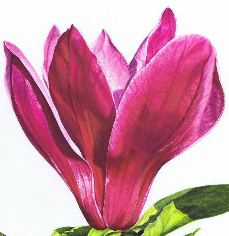 Original Fine Art Floral Painting by Nicola Mountney