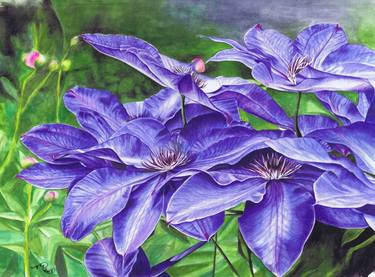 Original Fine Art Floral Paintings by Nicola Mountney