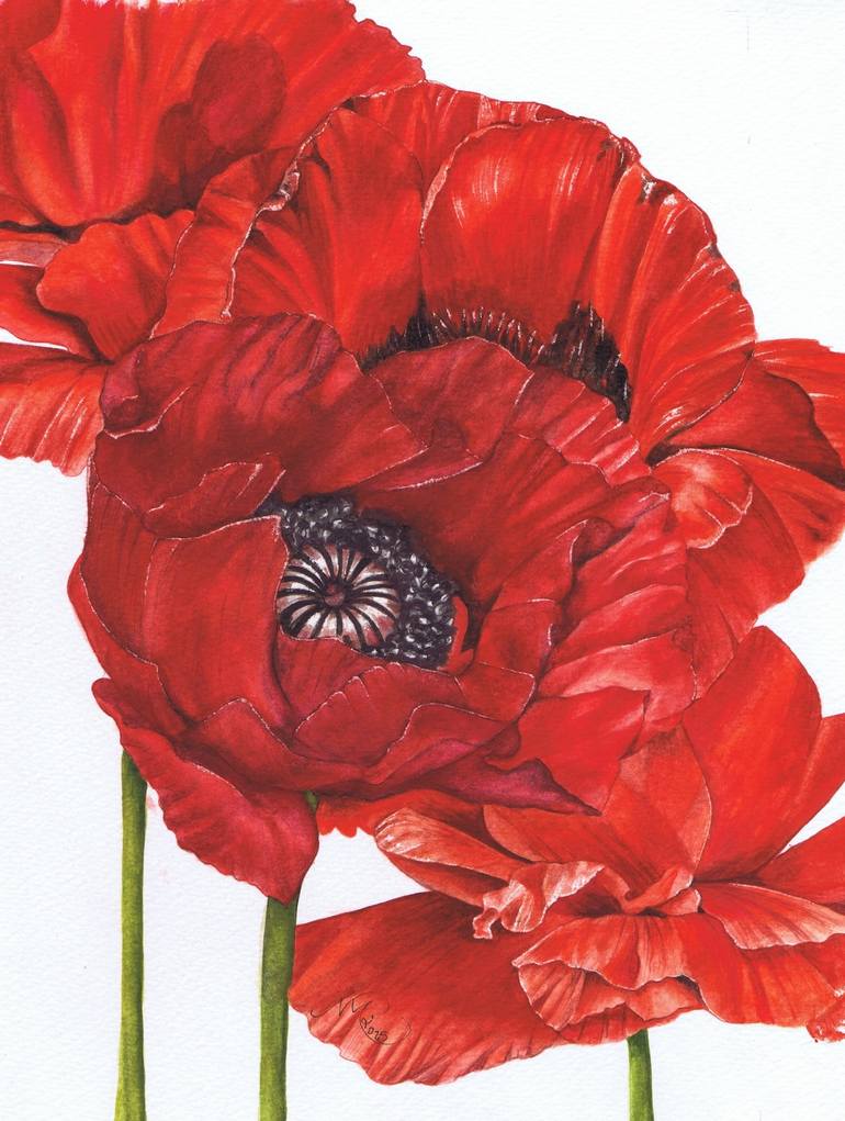 red poppy painting