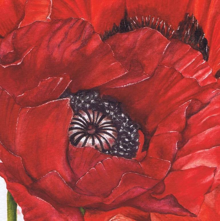 Original Other Floral Painting by Nicola Mountney
