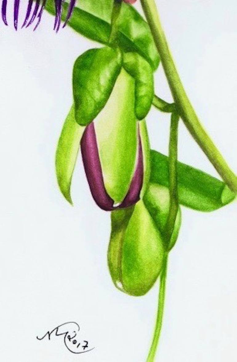 Original Other Botanic Painting by Nicola Mountney