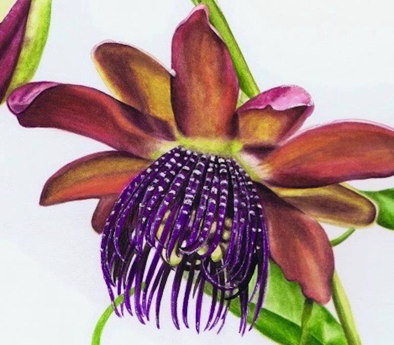 Original Other Botanic Painting by Nicola Mountney