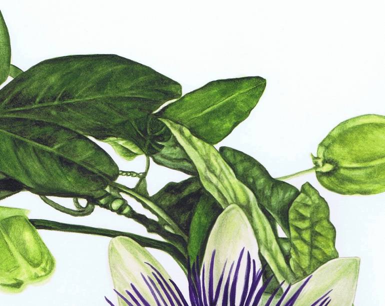 Original Fine Art Botanic Painting by Nicola Mountney