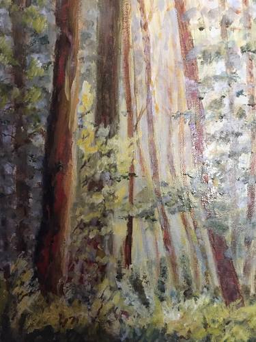 Original Tree Paintings by Joan Adam