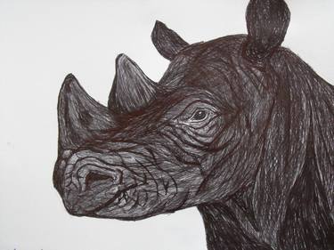 Original Animal Drawings by Genadi Georgiev