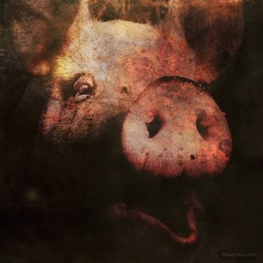 Print of Abstract Animal Photography by bouye bernard