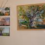 Exhibition in Terraventoux wine store Mormoiron ( Provence) November 2013