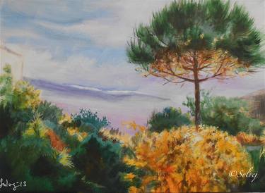 The pine tree 6,autumn / Le pin 6,automne thumb