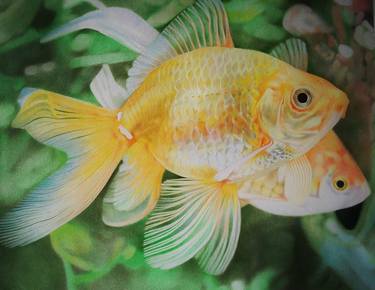 Original Figurative Animal Drawing by Monica Pellegrini