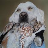 Collection Ellary Eddy