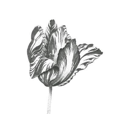 Print of Figurative Floral Drawings by Arzu Demirkaya