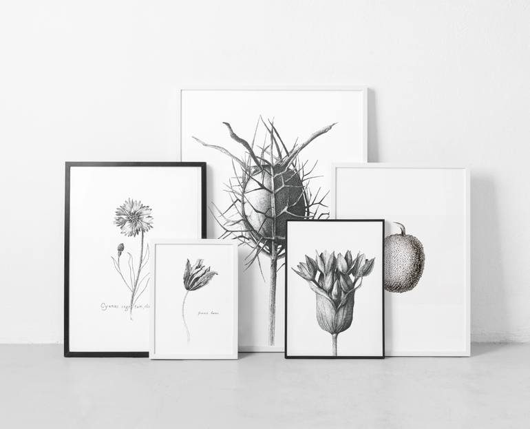 Original Illustration Botanic Drawing by Arzu Endam