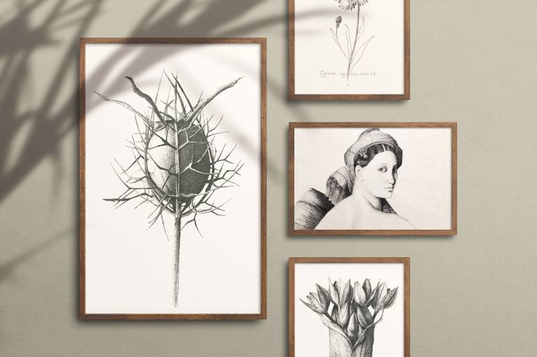 Original Illustration Botanic Drawing by Arzu Endam