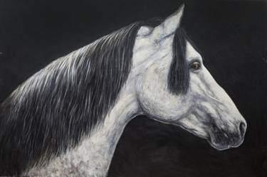 Print of Horse Paintings by Ignacio Alvar-Thomas