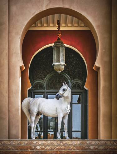 Arab Stallion at Marrakech - Limited Edition of 3 thumb