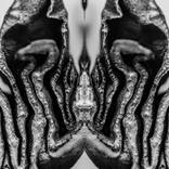 Untitled 2020 by Tahnia Roberts