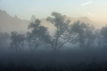 Morning Mist at Sunrise thumb