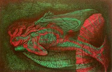 Print of Fish Printmaking by Nicole Thibodeau