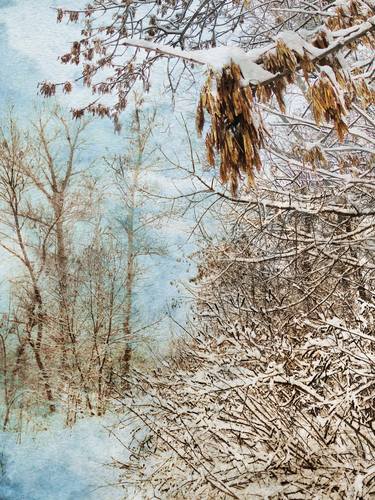 Winter Crop - Limited Edition Giclee Print thumb