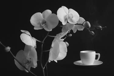 Original Fine Art Still Life Photography by Julia Gogol