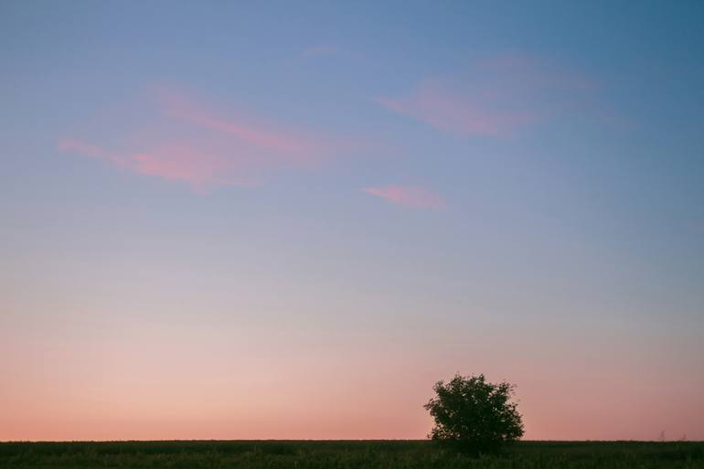 Original Conceptual Landscape Photography by Julia Gogol