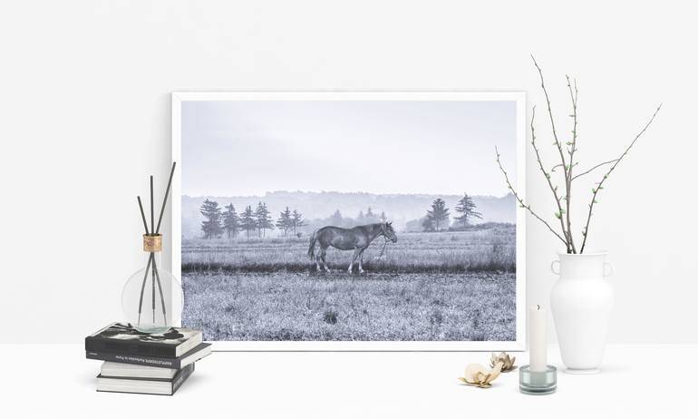 Original Fine Art Horse Photography by Julia Gogol